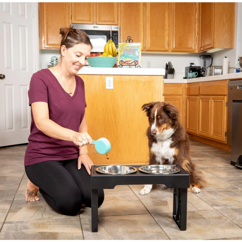 Raised Dog Food & Water Bowls - Ergonomic Design for Pets